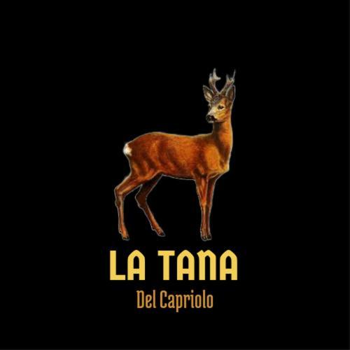Apartamento La Tana Del Capriolo Prati di Tivo Exterior foto
